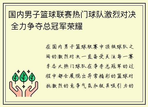 国内男子篮球联赛热门球队激烈对决 全力争夺总冠军荣耀