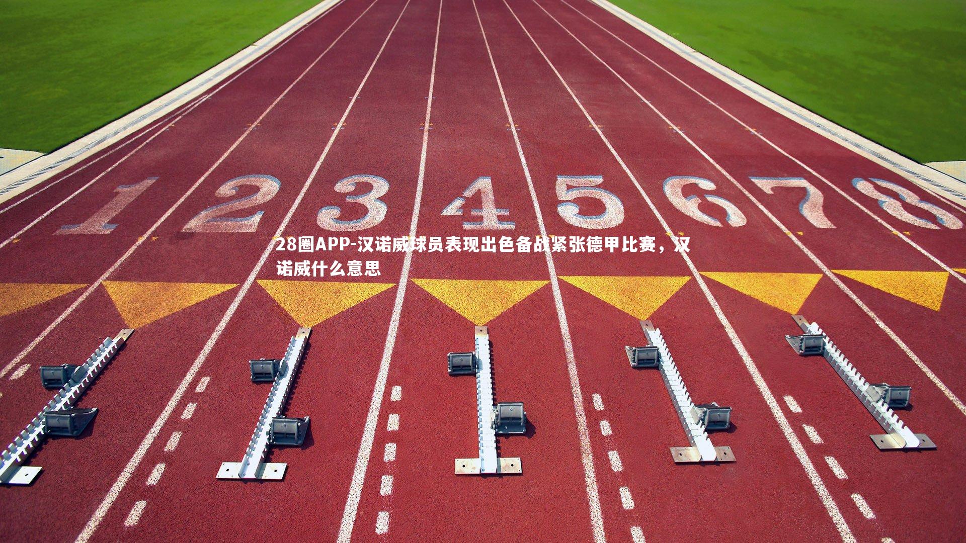 汉诺威球员表现出色备战紧张德甲比赛，汉诺威什么意思