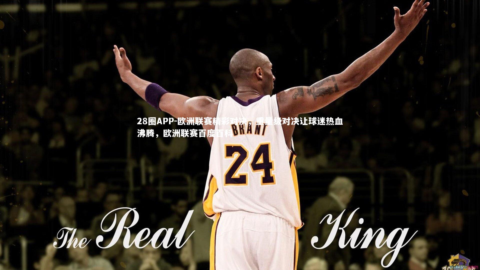 欧洲联赛精彩对决，重量级对决让球迷热血沸腾，欧洲联赛百度百科