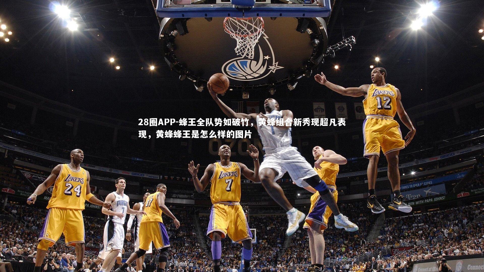 蜂王全队势如破竹，黄蜂组合新秀现超凡表现，黄蜂蜂王是怎么样的图片