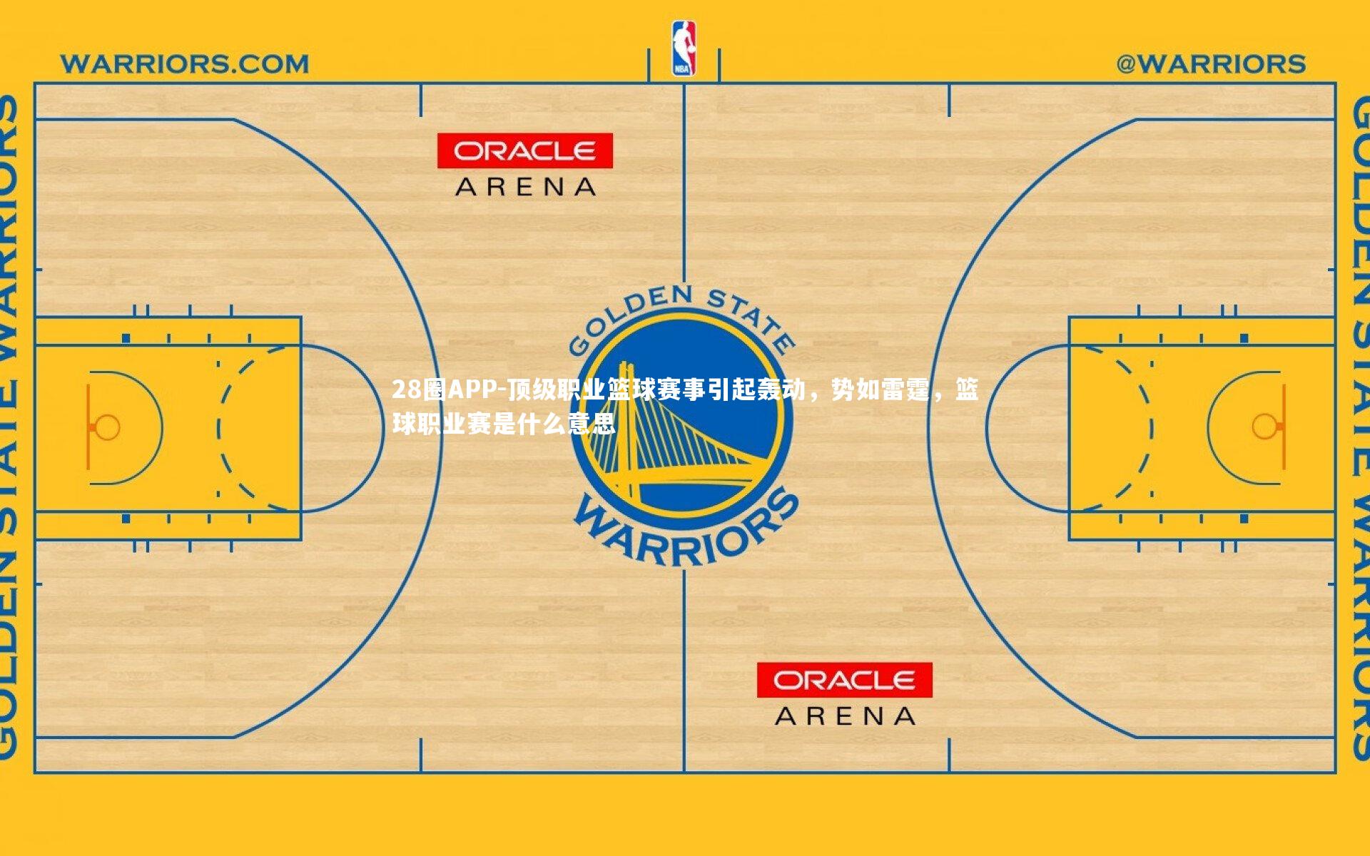 28圈APP-顶级职业篮球赛事引起轰动，势如雷霆，篮球职业赛是什么意思