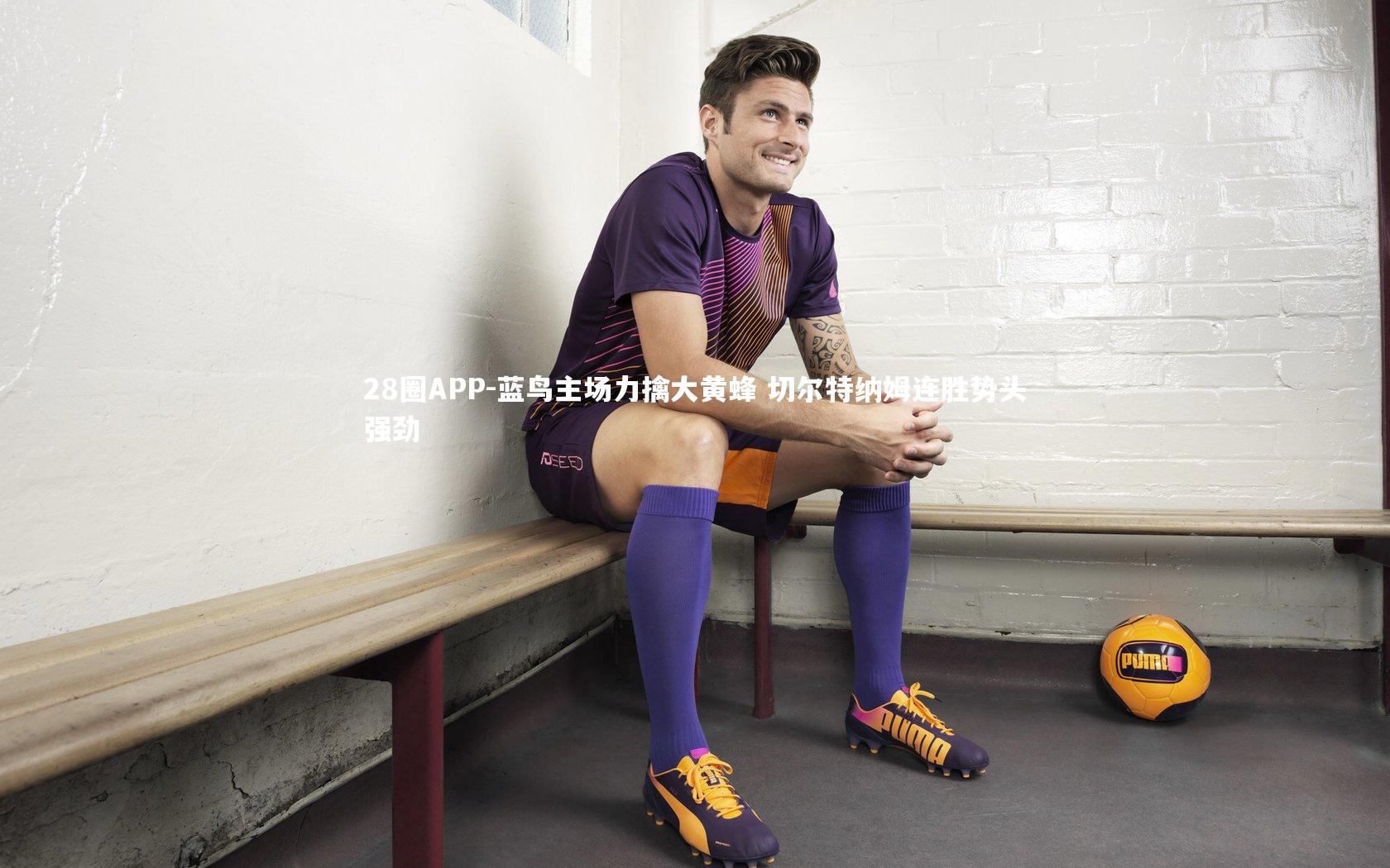 28圈APP-蓝鸟主场力擒大黄蜂 切尔特纳姆连胜势头强劲