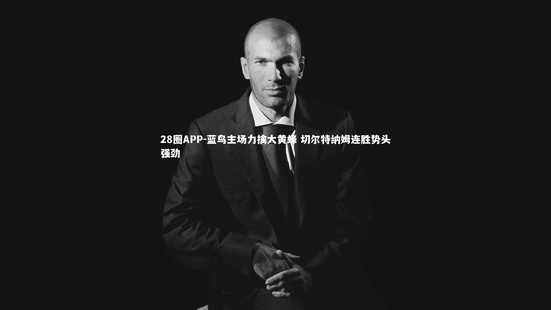 蓝鸟主场力擒大黄蜂 切尔特纳姆连胜势头强劲