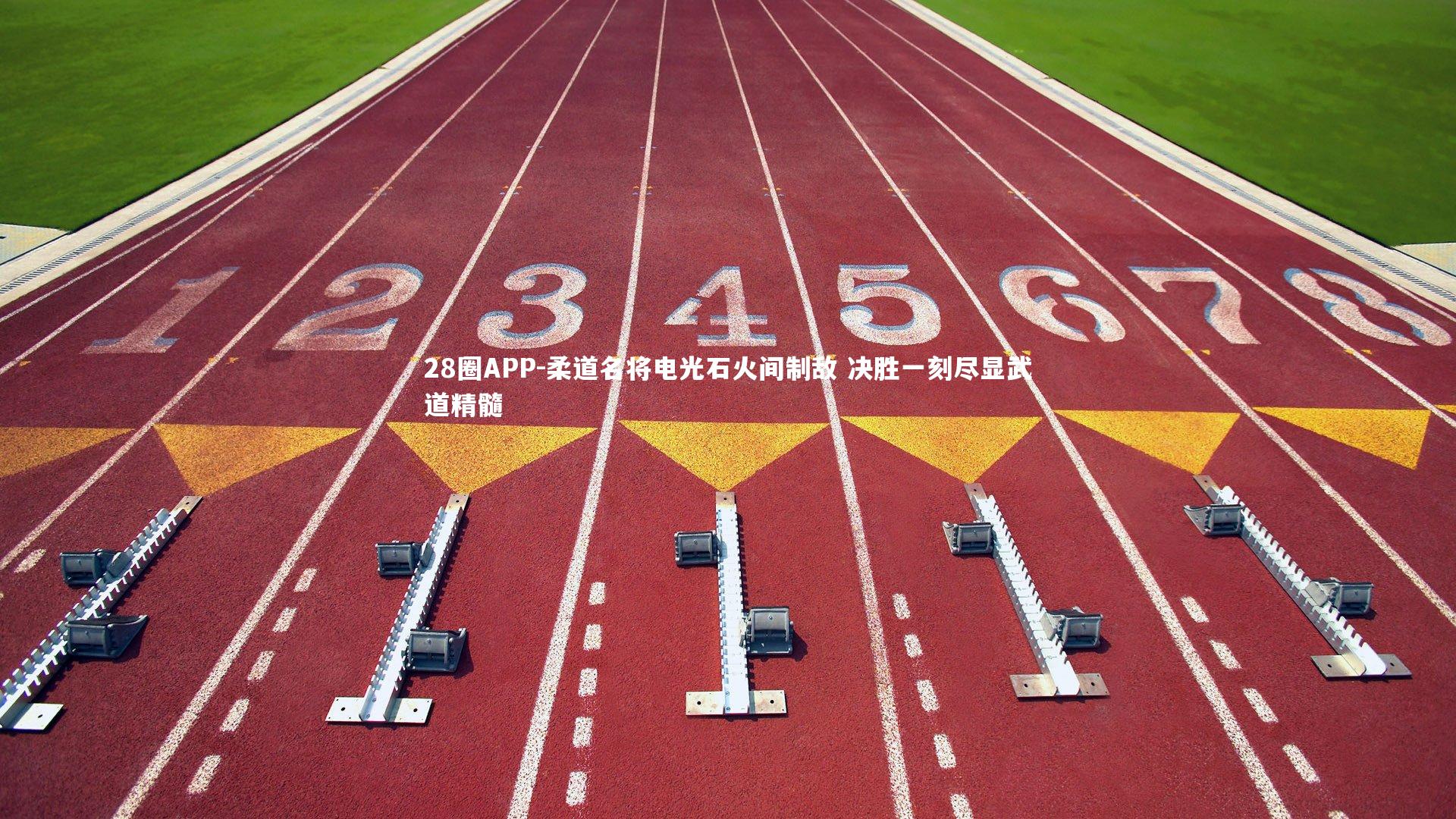 柔道名将电光石火间制敌 决胜一刻尽显武道精髓